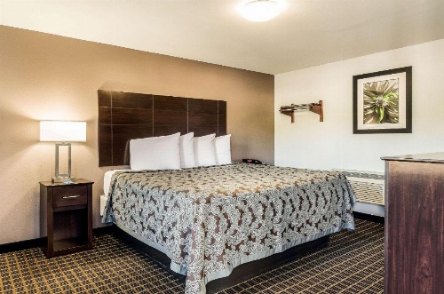 Rodeway Inn Middleboro-Plymouth image 7